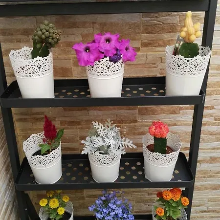Apartment Sweet