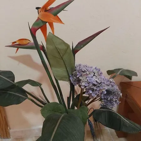 Apartment Sweet Las Palmas de Gran Canaria