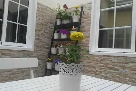 Sweet Apartment